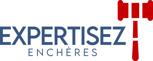 Expertisez Enchères